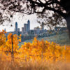 Foto San Gimignano tra vigne gialle, Toscana